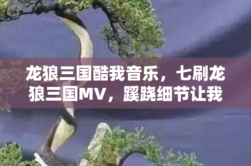 龙狼三国酷我音乐，七刷龙狼三国MV，蹊跷细节让我后背发凉，原来我才是NPC？
