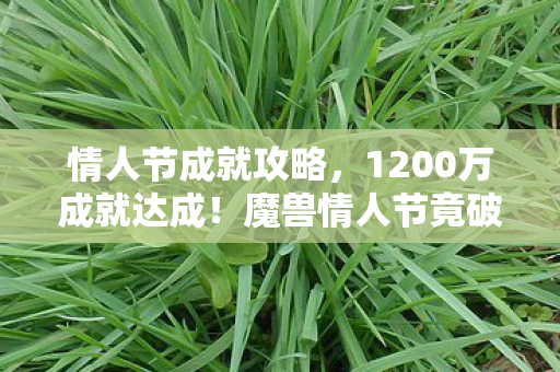 情人节成就攻略，1200万成就达成！魔兽情人节竟破圈音乐综艺+时尚T台，意想不到的跨界狂欢