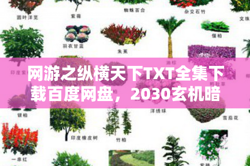 网游之纵横天下TXT全集下载百度网盘,2030玄机暗涌!当沉默成为通关密钥,这游戏究竟给了我什么? 网游之纵横天下TXT全集下载百度网盘,2030玄机暗涌!当沉默成为通关密钥,这游戏究竟给了我什么?