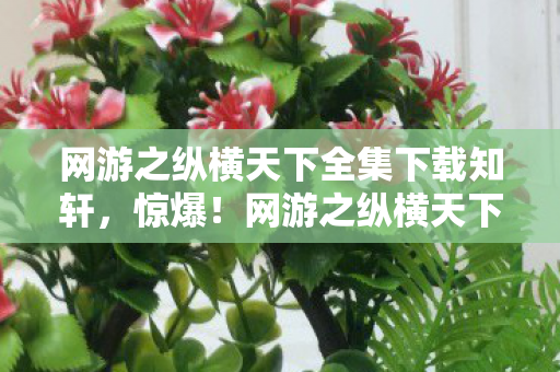 网游之纵横天下全集下载知轩,惊爆!网游之纵横天下100%全集资源,结局反转惊掉下巴? 网游之纵横天下全集下载知轩,惊爆!网游之纵横天下100%全集资源,结局反转惊掉下巴?