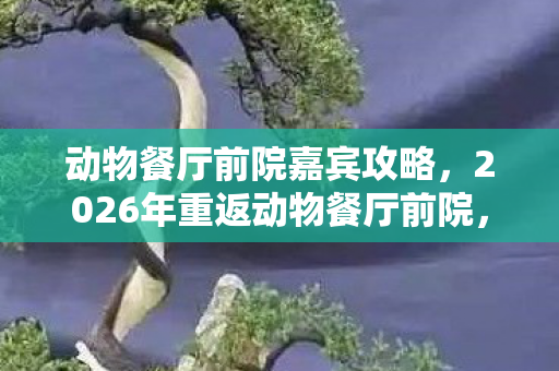 动物餐厅前院嘉宾攻略,2026年重返动物餐厅前院,伏笔揭开时,我鼻子一酸 动物餐厅前院嘉宾攻略,2026年重返动物餐厅前院,伏笔揭开时,我鼻子一酸