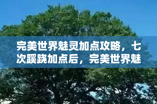 完美世界魅灵加点攻略,七次蹊跷加点后,完美世界魅灵背后竟让我后背发凉! 完美世界魅灵加点攻略,七次蹊跷加点后,完美世界魅灵背后竟让我后背发凉!