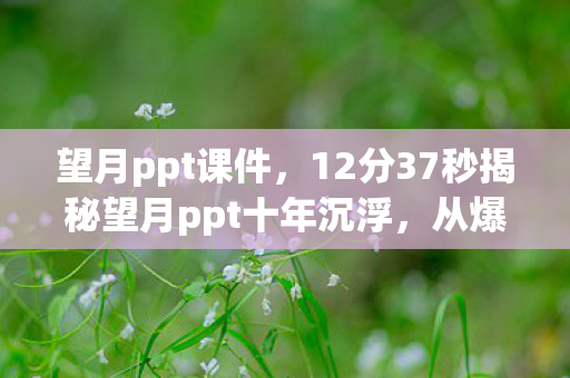 望月ppt课件,12分37秒揭秘望月ppt十年沉浮,从爆火到沉寂,为何泪目? 望月ppt课件,12分37秒揭秘望月ppt十年沉浮,从爆火到沉寂,为何泪目?