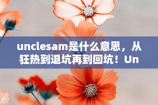 unclesam是什么意思,从狂热到退坑再到回坑!UncleSam竟让我3次反转人生? unclesam是什么意思,从狂热到退坑再到回坑!UncleSam竟让我3次反转人生?