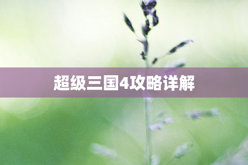超级三国4攻略详解图片
