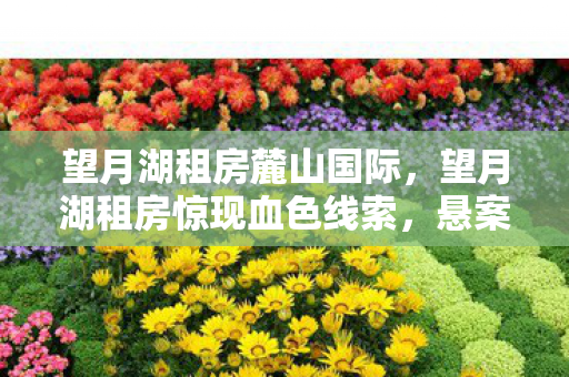 望月湖租房麓山国际,望月湖租房惊现血色线索,悬案背后毛骨悚然十年困局 望月湖租房麓山国际,望月湖租房惊现血色线索,悬案背后毛骨悚然十年困局