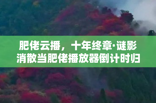 肥佬云播,十年终章·谜影消散当肥佬播放器倒计时归零时,我泪目了 肥佬云播,十年终章·谜影消散当肥佬播放器倒计时归零时,我泪目了