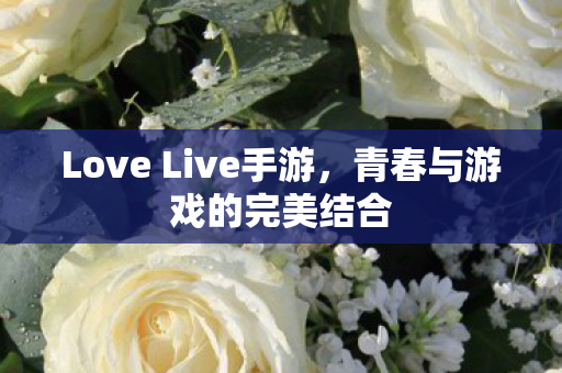 Love Live手游图片