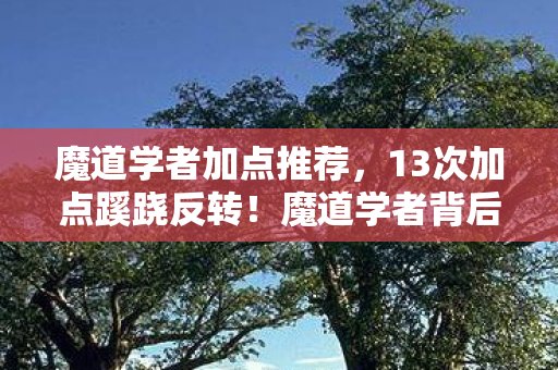 魔道学者加点推荐,13次加点蹊跷反转!魔道学者背后真相让人后背发凉 魔道学者加点推荐,13次加点蹊跷反转!魔道学者背后真相让人后背发凉