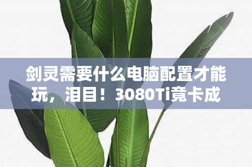 剑灵需要什么电脑配置才能玩，泪目！3080Ti竟卡成PPT？剑灵玩家亲测，这配置才能丝滑到哭！