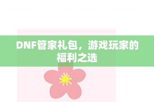 游戏玩家的福利之选图片