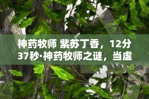 神药牧师 紫苏丁香，12分37秒·神药牧师之谜，当虚拟圣光照亮现实泪目