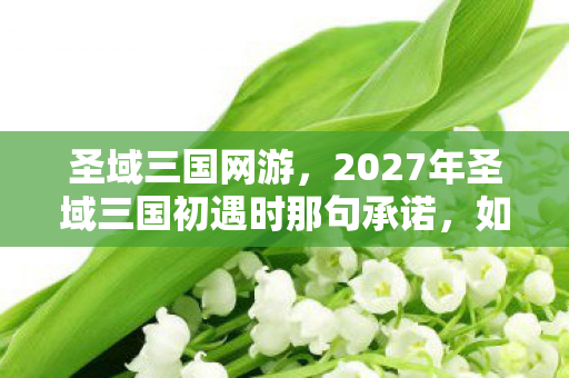 圣域三国网游，2027年圣域三国初遇时那句承诺，如今伏笔成殇，想起便鼻子一酸