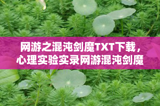 网游之混沌剑魔TXT下载，心理实验实录网游混沌剑魔，当再来一局成为细思极恐的沉迷陷阱