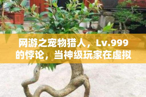 网游之宠物猎人，Lv.999的悖论，当神级玩家在虚拟天堂里杀死自己