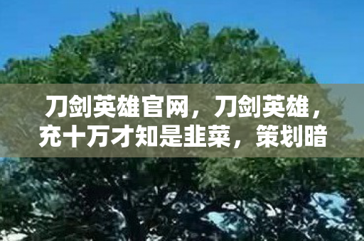 刀剑英雄官网，刀剑英雄，充十万才知是韭菜，策划暗改数据吓掉下巴！