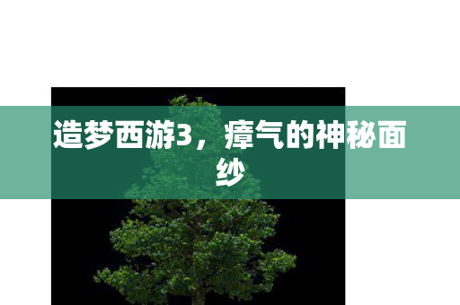 瘴气的神秘面纱图片