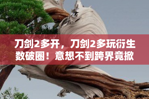 刀剑2多开，刀剑2多玩衍生数破圈！意想不到跨界竟掀时尚综艺新风暴