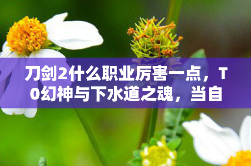 刀剑2什么职业厉害一点，T0幻神与下水道之魂，当自由意志撞碎命运齿轮的刀剑2悖论