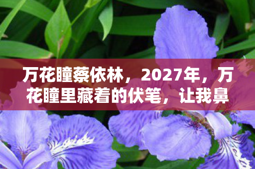 万花瞳蔡依林，2027年，万花瞳里藏着的伏笔，让我鼻子一酸忆往昔