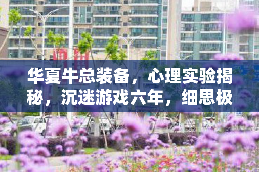 华夏牛总装备，心理实验揭秘，沉迷游戏六年，细思极恐的自我麻醉真相