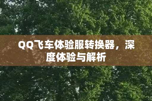 QQ飞车体验服转换器图片