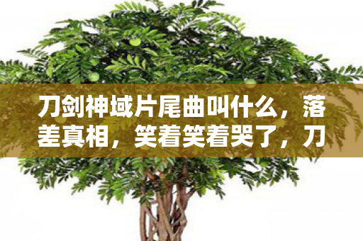 刀剑神域片尾曲叫什么,落差真相,笑着笑着哭了,刀剑神域的烂与爱竟如此割裂 刀剑神域片尾曲叫什么,落差真相,笑着笑着哭了,刀剑神域的烂与爱竟如此割裂