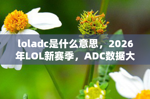 loladc是什么意思,2026年LOL新赛季,ADC数据大揭秘,这3个数字将颠覆你的认知! loladc是什么意思,2026年LOL新赛季,ADC数据大揭秘,这3个数字将颠覆你的认知!