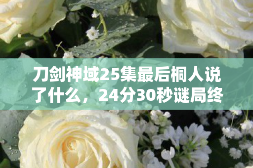 刀剑神域25集最后桐人说了什么，24分30秒谜局终章，当13742次死亡数据撞上桐人最后1次心跳