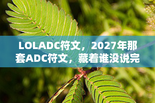 LOLADC符文，2027年那套ADC符文，藏着谁没说完的下次一起，鼻子一酸