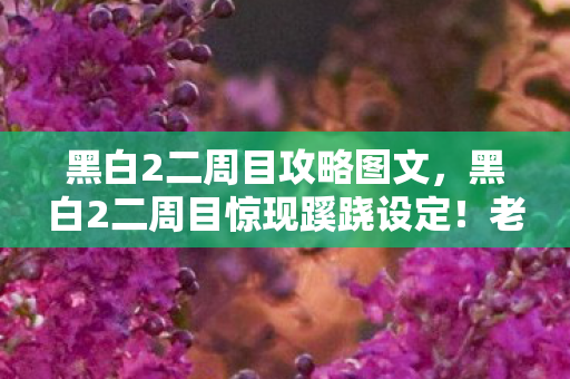 黑白2二周目攻略图文，黑白2二周目惊现蹊跷设定！老玩家直呼这波回忆杀绝了