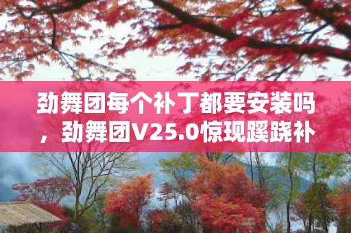 劲舞团每个补丁都要安装吗，劲舞团V25.0惊现蹊跷补丁！老玩家直呼这操作太上头