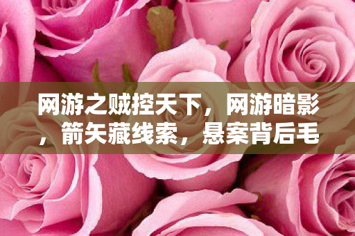 网游之贼控天下，网游暗影，箭矢藏线索，悬案背后毛骨悚然的自我终结