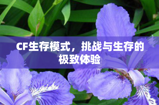 挑战与生存的极致体验图片