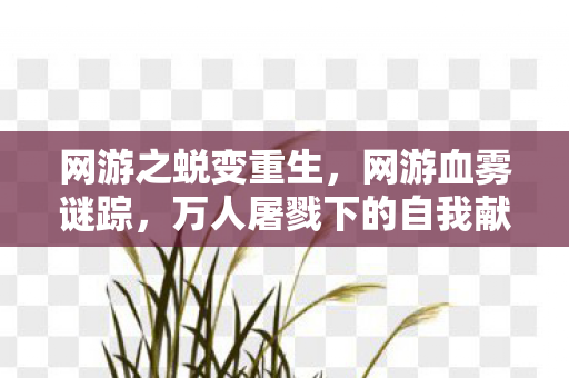网游之蜕变重生,网游血雾谜踪,万人屠戮下的自我献祭悬案 网游之蜕变重生,网游血雾谜踪,万人屠戮下的自我献祭悬案