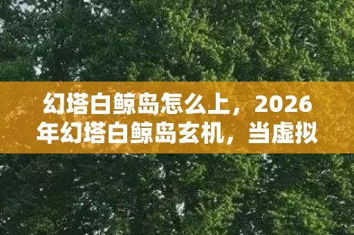 幻塔白鲸岛怎么上,2026年幻塔白鲸岛玄机,当虚拟坐标成为人生选择的沉默刻度 幻塔白鲸岛怎么上,2026年幻塔白鲸岛玄机,当虚拟坐标成为人生选择的沉默刻度