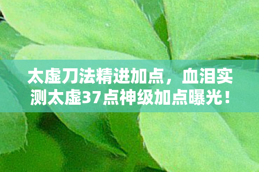 太虚刀法精进加点，血泪实测太虚37点神级加点曝光！99%玩家踩坑的致命陷阱竟藏在这3秒