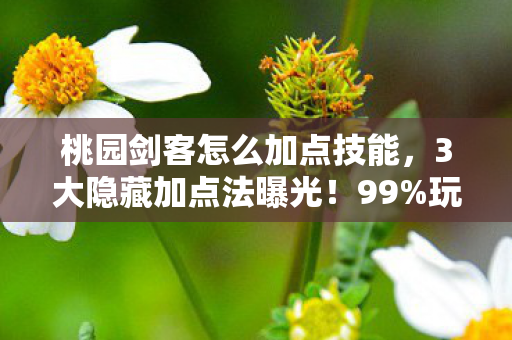 桃园剑客怎么加点技能，3大隐藏加点法曝光！99%玩家错过的剑客终极奥义