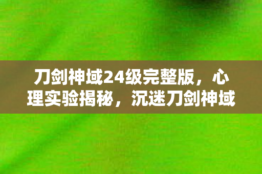 刀剑神域24级完整版，心理实验揭秘，沉迷刀剑神域24背后的多巴胺陷阱，细思极恐！