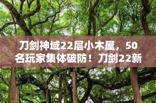 刀剑神域22层小木屋，50名玩家集体破防！刀剑22新剧情疑点炸锅，这操作谁绷得住啊？