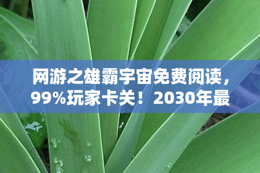 网游之雄霸宇宙免费阅读，99%玩家卡关！2030年最狂网游竟藏宇宙级隐藏任务？