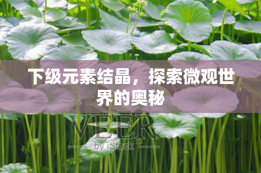 探索微观世界的奥秘图片