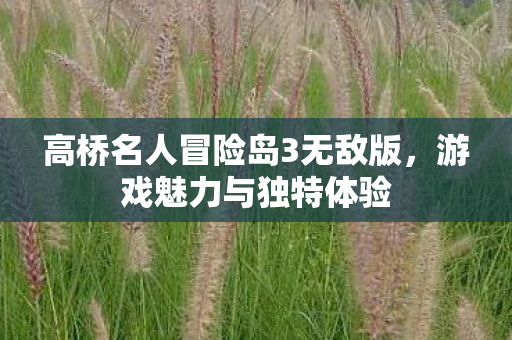 高桥名人冒险岛3无敌版图片