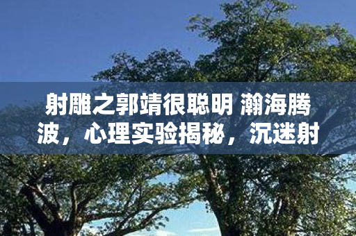 射雕之郭靖很聪明 瀚海腾波，心理实验揭秘，沉迷射雕三年，郭靖变聪明背后的细思极恐真相