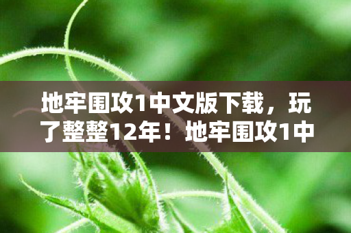 地牢围攻1中文版下载,玩了整整12年!地牢围攻1中文版,选战士还是法师更纠结? 地牢围攻1中文版下载,玩了整整12年!地牢围攻1中文版,选战士还是法师更纠结?