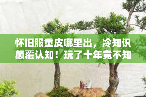 怀旧服重皮哪里出,冷知识颠覆认知!玩了十年竟不知怀旧服重皮藏在这,目瞪口呆! 怀旧服重皮哪里出,冷知识颠覆认知!玩了十年竟不知怀旧服重皮藏在这,目瞪口呆!