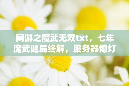 网游之魔武无双txt，七年魔武谜局终解，服务器熄灯那刻泪目成河