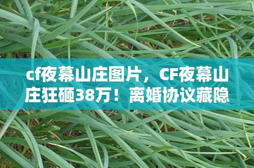 cf夜幕山庄图片，CF夜幕山庄狂砸38万！离婚协议藏隐情，老婆这一手让我吓一跳！