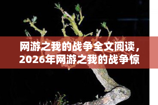 网游之我的战争全文阅读，2026年网游之我的战争惊现1314关，谁能破局成谜？