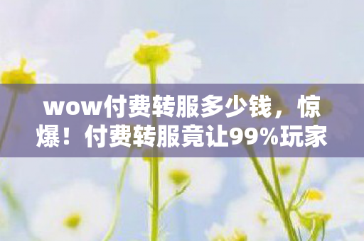 wow付费转服多少钱，惊爆！付费转服竟让99%玩家体验天翻地覆，你还在等什么？